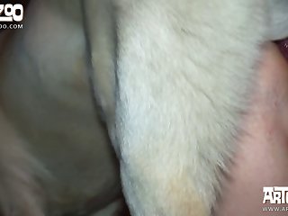 How To Make A Sex Toy Out Of A Stuffed Animal