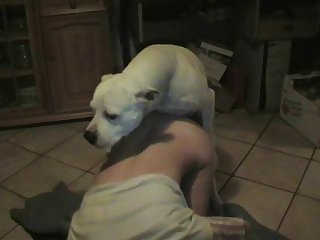 Kim Reynolds Horse Porn