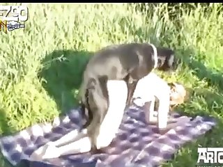 First Dog Lick Porn