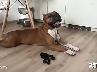 Animal Crossing Sex Gifs