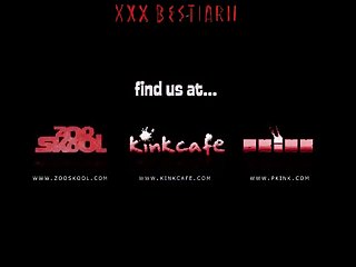 Dog Rapes Human Porn