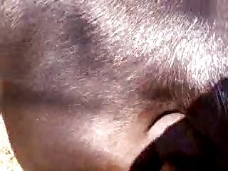 Oh Knotty Zoo Porn