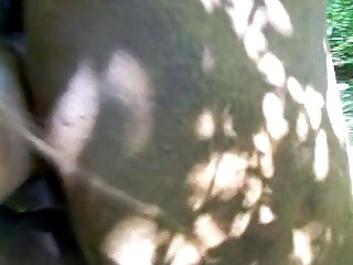 Animal Sex Porno Video