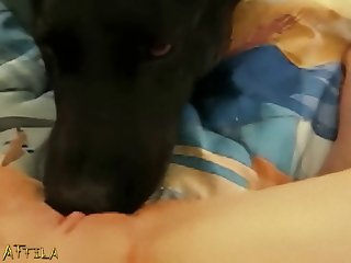 Boys Fuck Female Dog