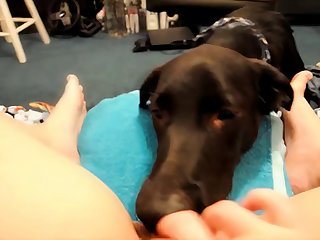 Can I Fuck Meme Dog