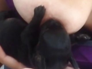 Sofia The Baddie Fuck Dog