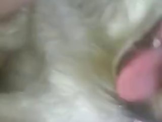 Free Porn Animal Porn