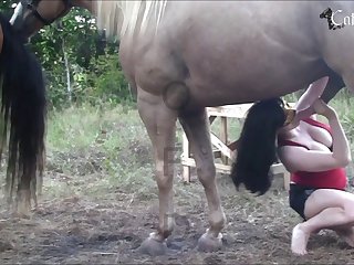 Men Animal Porn