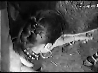 Animal Porn Tube