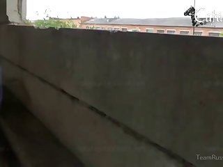 Animal Pig Porn