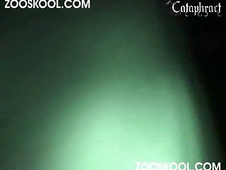 Animal And Girl Porn Video