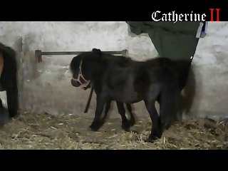 Man Fucking Female Animal Porn