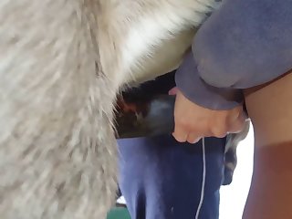 Animal With Men Porn