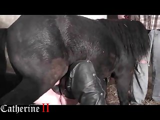 New Porn With Animal