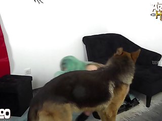 Animal Pic Porn