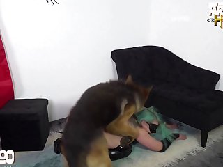 Animal Pic Porn