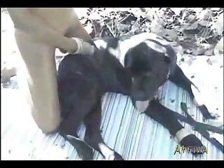 Videos Zoofilia Leche