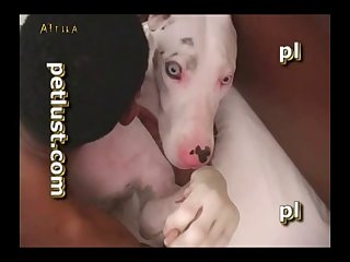 Zoofilia Video 2024