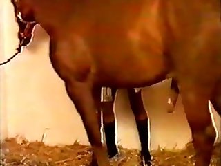 Zoofilia Videos Colegiala