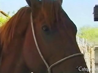 Porno Zoofilia Masculino