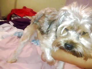 Mia Khalifa Zoofilia