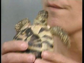 Zoofilia Santiago Ydanez