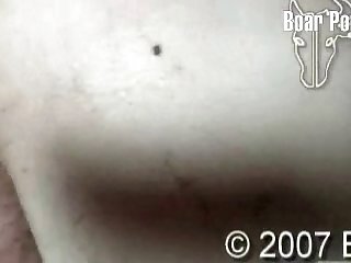 Videos Gratis De Zoofilia Con Caballos