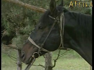 Éva Aka Monique In Horse Orgy