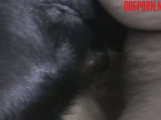 Her Asshole Out Suddenly Made Contact With Her Clit As