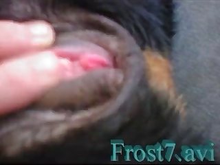 Freeze Time Stop Gifs Porn Xxx