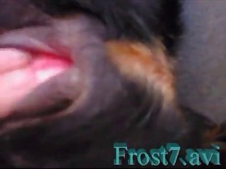Freeze Time Stop Gifs Porn Xxx