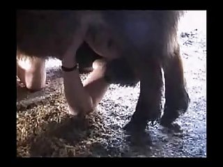 Xxx Videos Porn Black