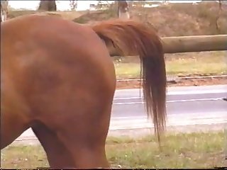 Swallowsalon Hd Xxx Porn