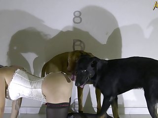 Indi Xxx Porn