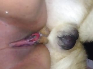 Porn Filme Xxx
