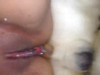 Porn Filme Xxx