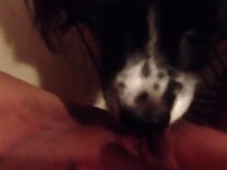 Playing With Pussy Lips Porn Xxx