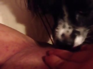 Playing With Pussy Lips Porn Xxx