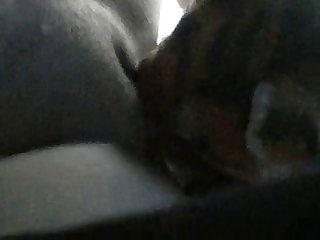 Teen Flasche Xxx Porn