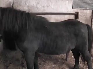 Xxx Porn Stepmom And Son