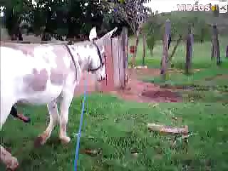 Brennah Montgomery Zoo Porn