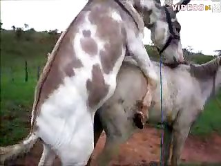 Brennah Montgomery Zoo Porn