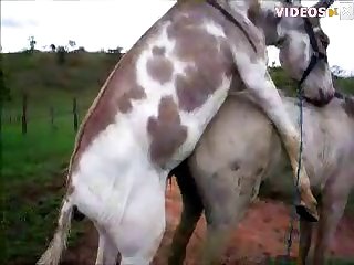 Brennah Montgomery Zoo Porn