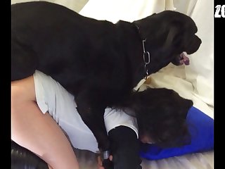 Zoo Porn Storys