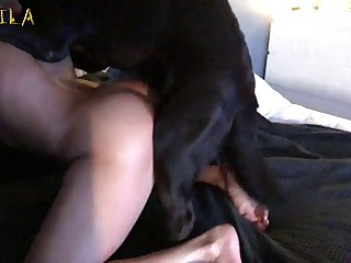 Animal Sex Pirn