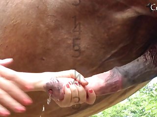 Bonnie Blue Petting Zoo Porn Free