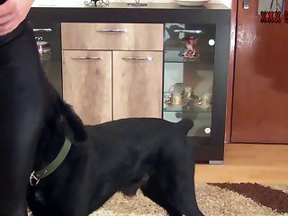 Skirby And Dog Porn Video