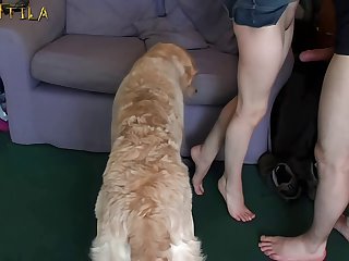 Dog Porn Slow Motion