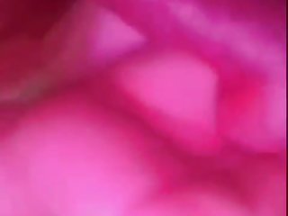 Animal Sex With Condom