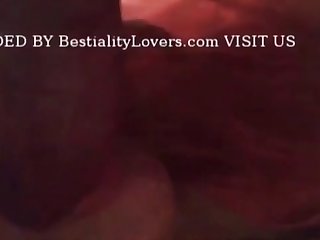 Zoo Porn Xvideo